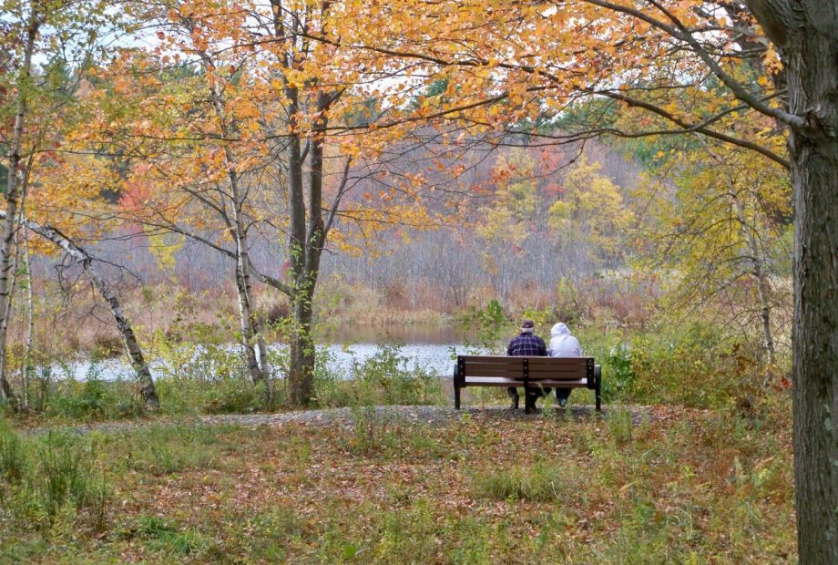 A couple sitting on a bench at Heins Conservation Lands in Sturbridge, Massachusetts