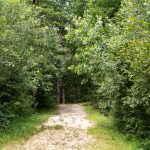 A walking trail in Sturbridge, Massachusetts