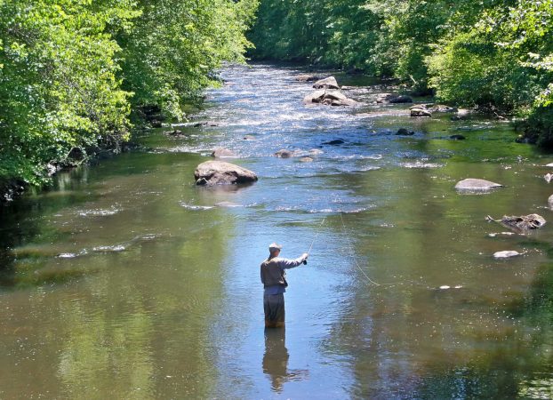 A man fishing in the river