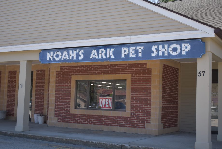 Noah's Ark Pet Shop - Sturbridge