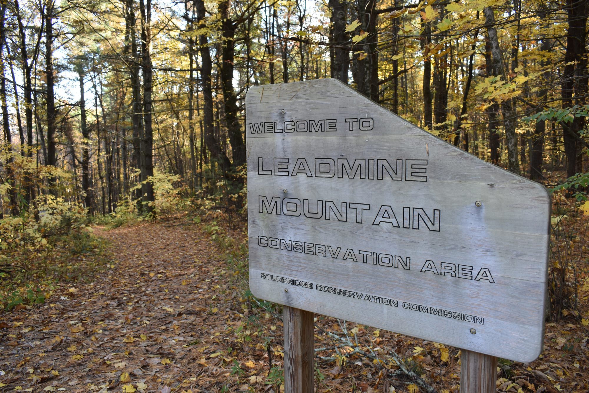 Leadmine Mountain Conservation Area - Sturbridge