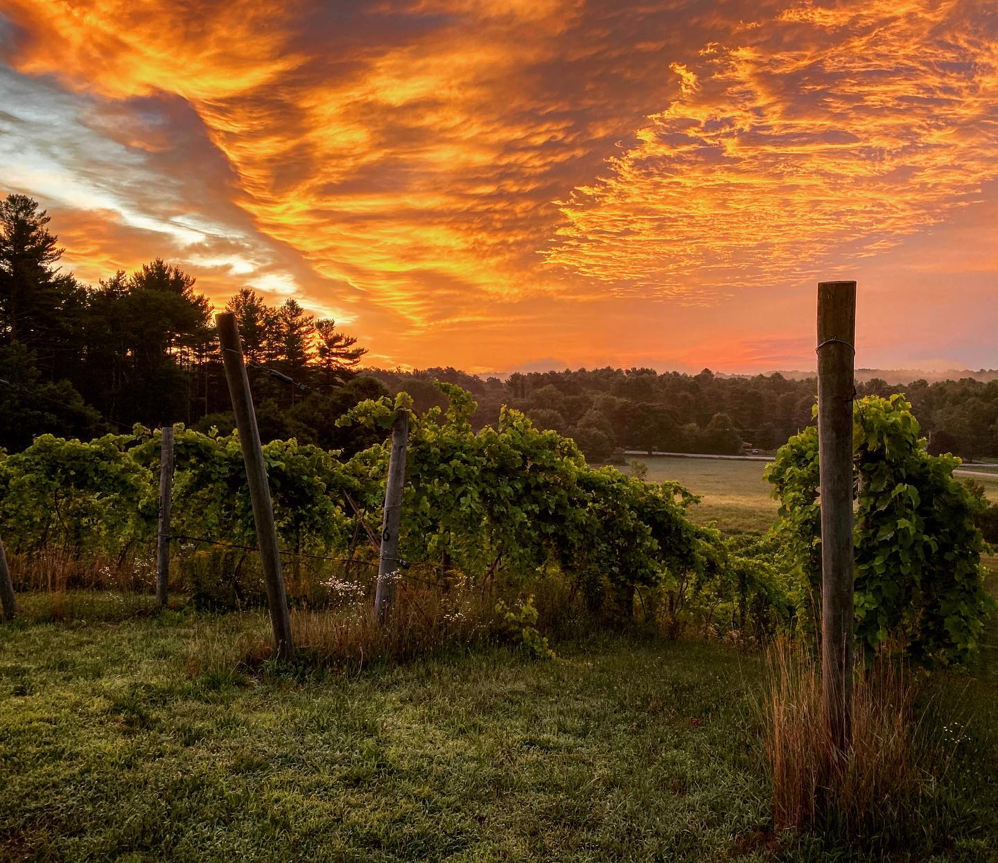 Visiting Sturbridge, MA Find Fun Things To Do Near You