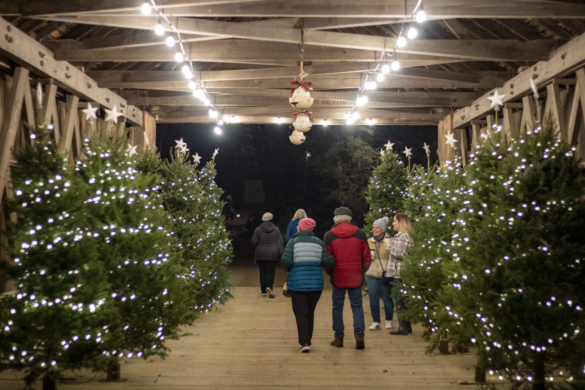 53439556612_3a2c47e389_o-scaled