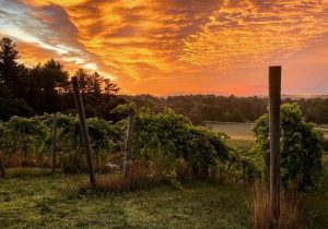 308658933_472506594900830_7877568594983914274_n