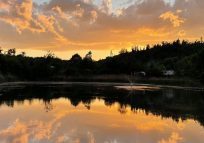 8beecb_efaa29e23ec646cab7fb4b69fe53f904~mv2